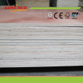 Fabricante chino 2mm-30mm Okoume / Pine lujo comercial madera contrachapada
